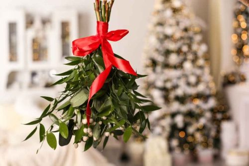 visco de natal